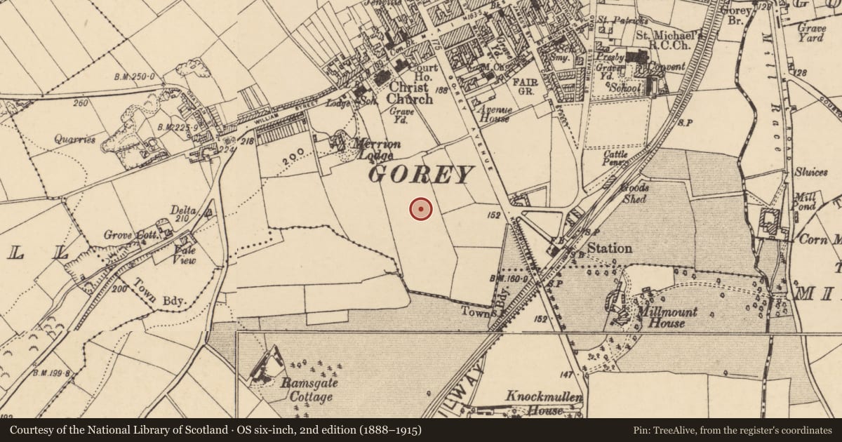 Ordnance Survey six-inch map, 2nd edition (1888–1915) covering the location of Excavation - miscellaneous, Gorey Corporation Lands, County Wexford, with a pin at the register's coordinates