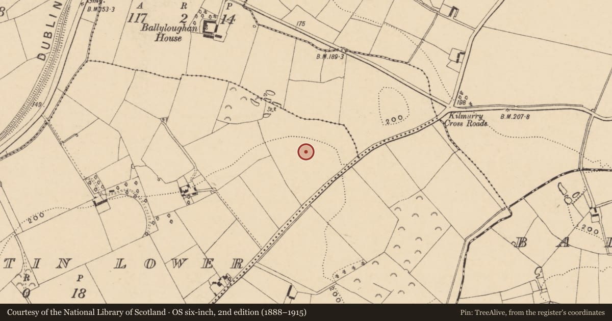 Ordnance Survey six-inch map, 2nd edition (1888–1915) covering the location of Excavation - miscellaneous, Clonatin Lower, County Wexford, with a pin at the register's coordinates