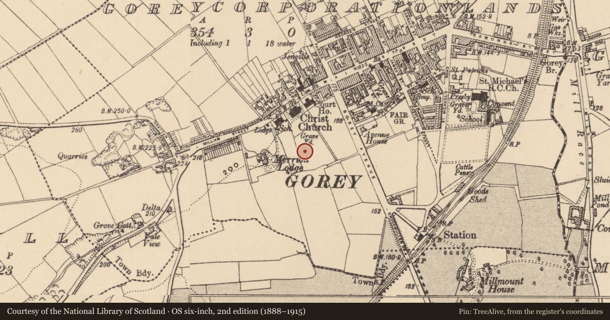 Ordnance Survey six-inch map, 2nd edition (1888–1915) covering the location of Metalworking site, Gorey Corporation Lands, County Wexford, with a pin at the register's coordinates