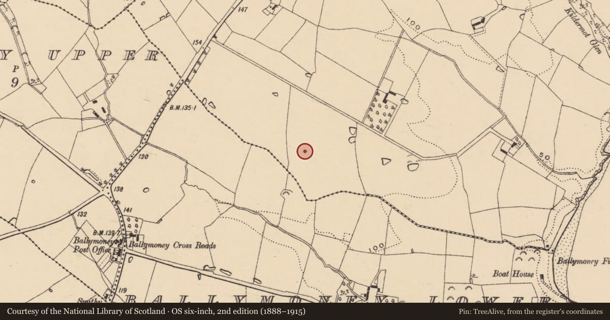 Ordnance Survey six-inch map, 2nd edition (1888–1915) covering the location of Ringfort - rath, Kildermot, County Wexford, with a pin at the register's coordinates
