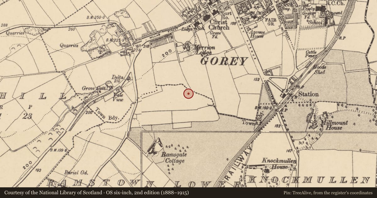 Ordnance Survey six-inch map, 2nd edition (1888–1915) covering the location of Excavation - miscellaneous, Ramstown Lower, County Wexford, with a pin at the register's coordinates
