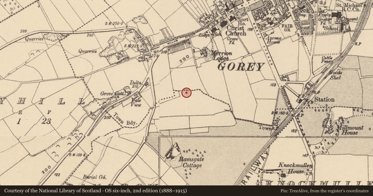 Ordnance Survey six-inch map, 2nd edition (1888–1915) covering the location of Fulacht fia, Ramstown Lower, County Wexford, with a pin at the register's coordinates