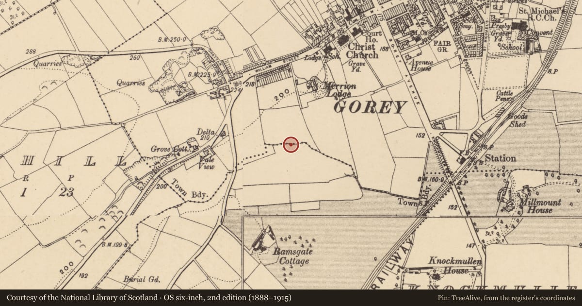 Ordnance Survey six-inch map, 2nd edition (1888–1915) covering the location of Burnt mound, Ramstown Lower, County Wexford, with a pin at the register's coordinates