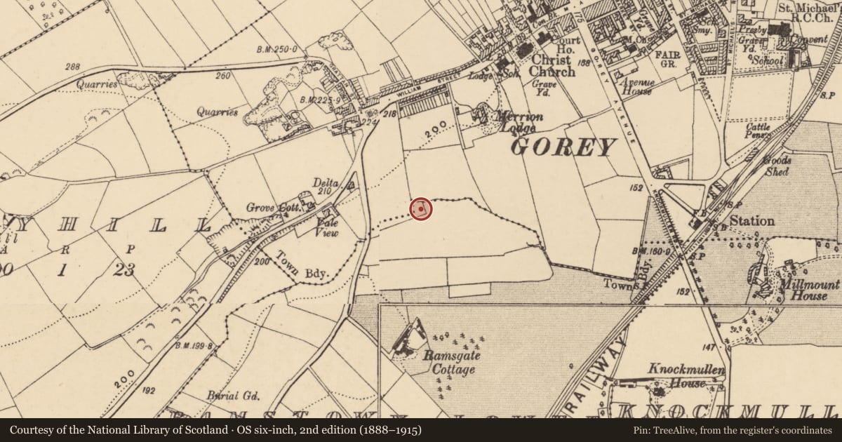 Ordnance Survey six-inch map, 2nd edition (1888–1915) covering the location of Fulacht fia, Ramstown Lower, County Wexford, with a pin at the register's coordinates
