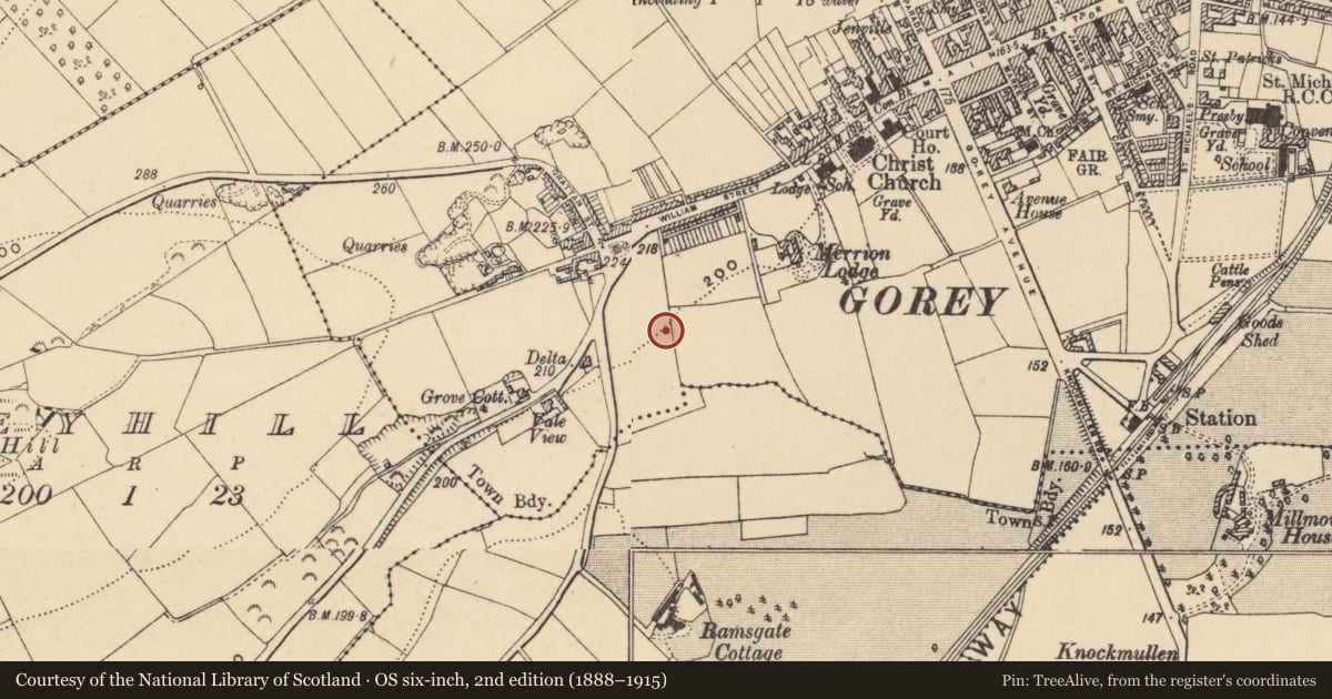 Ordnance Survey six-inch map, 2nd edition (1888–1915) covering the location of Kiln, Gorey Corporation Lands, County Wexford, with a pin at the register's coordinates