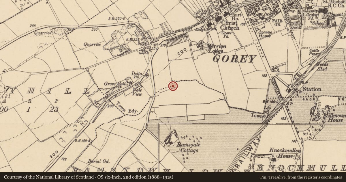 Ordnance Survey six-inch map, 2nd edition (1888–1915) covering the location of Burnt mound, Ramstown Lower, County Wexford, with a pin at the register's coordinates