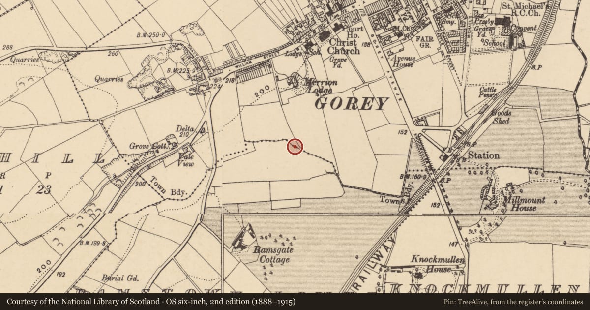 Ordnance Survey six-inch map, 2nd edition (1888–1915) covering the location of Burnt mound, Ramstown Lower, County Wexford, with a pin at the register's coordinates