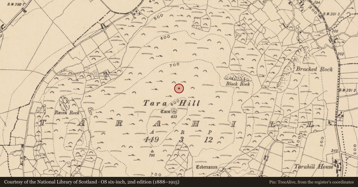Ordnance Survey six-inch map, 2nd edition (1888–1915) covering the location of Hut site, Tarahill, County Wexford, with a pin at the register's coordinates
