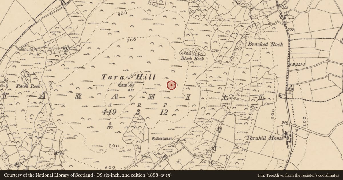 Ordnance Survey six-inch map, 2nd edition (1888–1915) covering the location of Hut site, Tarahill, County Wexford, with a pin at the register's coordinates