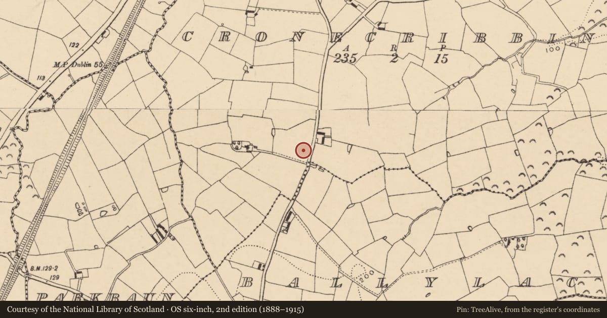 Ordnance Survey six-inch map, 2nd edition (1888–1915) covering the location of Ringfort - rath, Cronecribbin, County Wexford, with a pin at the register's coordinates