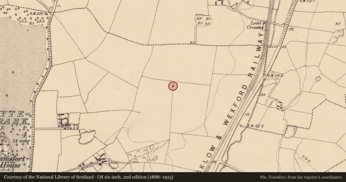 Ordnance Survey six-inch map, 2nd edition (1888–1915) covering the location of Ring-ditch, Ballytegan, County Wexford, with a pin at the register's coordinates