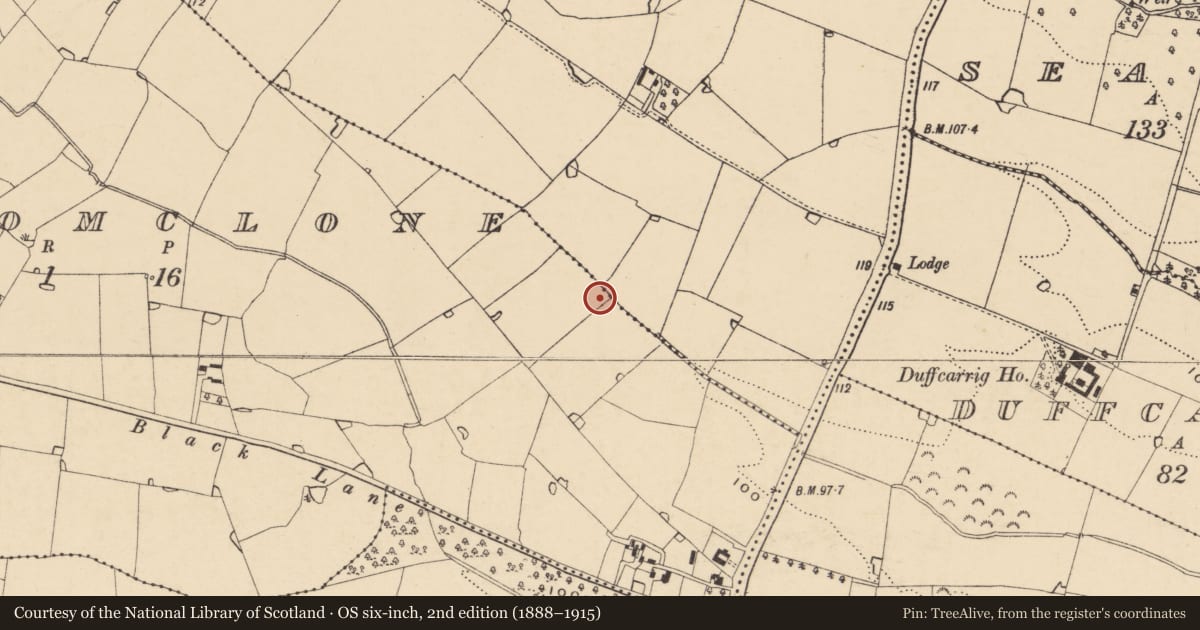 Ordnance Survey six-inch map, 2nd edition (1888–1915) covering the location of Enclosure, Ballycomclone, County Wexford, with a pin at the register's coordinates