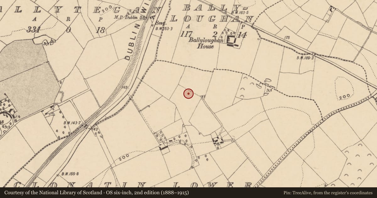 Ordnance Survey six-inch map, 2nd edition (1888–1915) covering the location of Enclosure - large enclosure, Clonatin Lower, County Wexford, with a pin at the register's coordinates