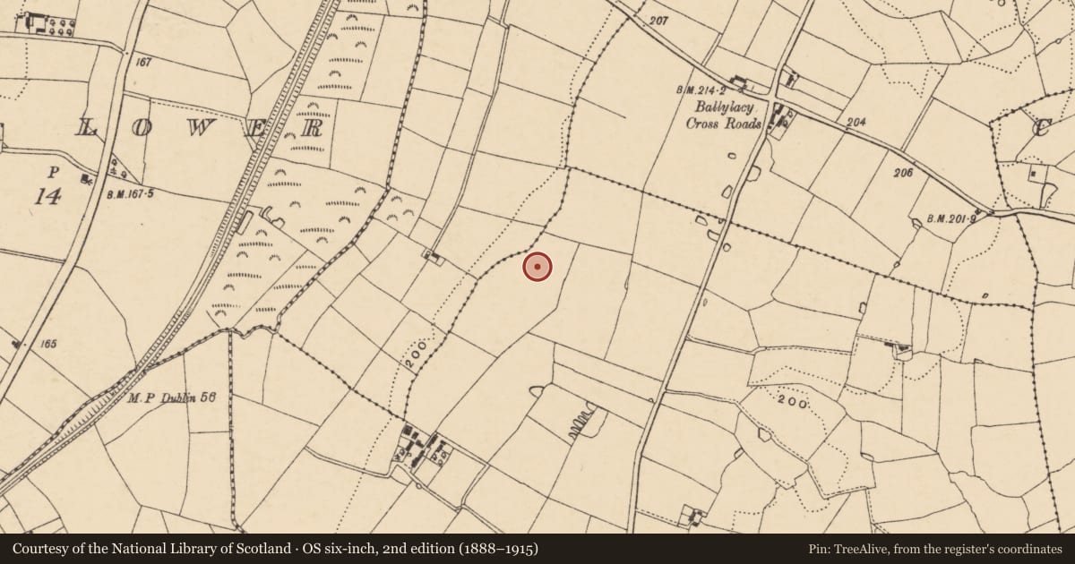 Ordnance Survey six-inch map, 2nd edition (1888–1915) covering the location of Enclosure, Ballywilliam, County Wexford, with a pin at the register's coordinates