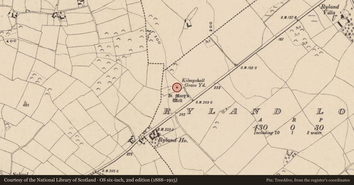 Ordnance Survey six-inch map, 2nd edition (1888–1915) covering the location of Church, Ryland Lower, County Wexford, with a pin at the register's coordinates