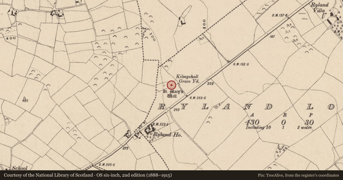 Ordnance Survey six-inch map, 2nd edition (1888–1915) covering the location of Graveyard, Ryland Lower, County Wexford, with a pin at the register's coordinates