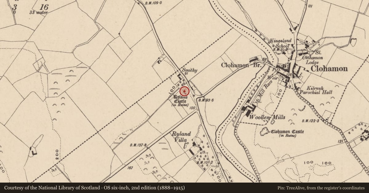 Ordnance Survey six-inch map, 2nd edition (1888–1915) covering the location of Castle - unclassified, Ryland Lower, County Wexford, with a pin at the register's coordinates