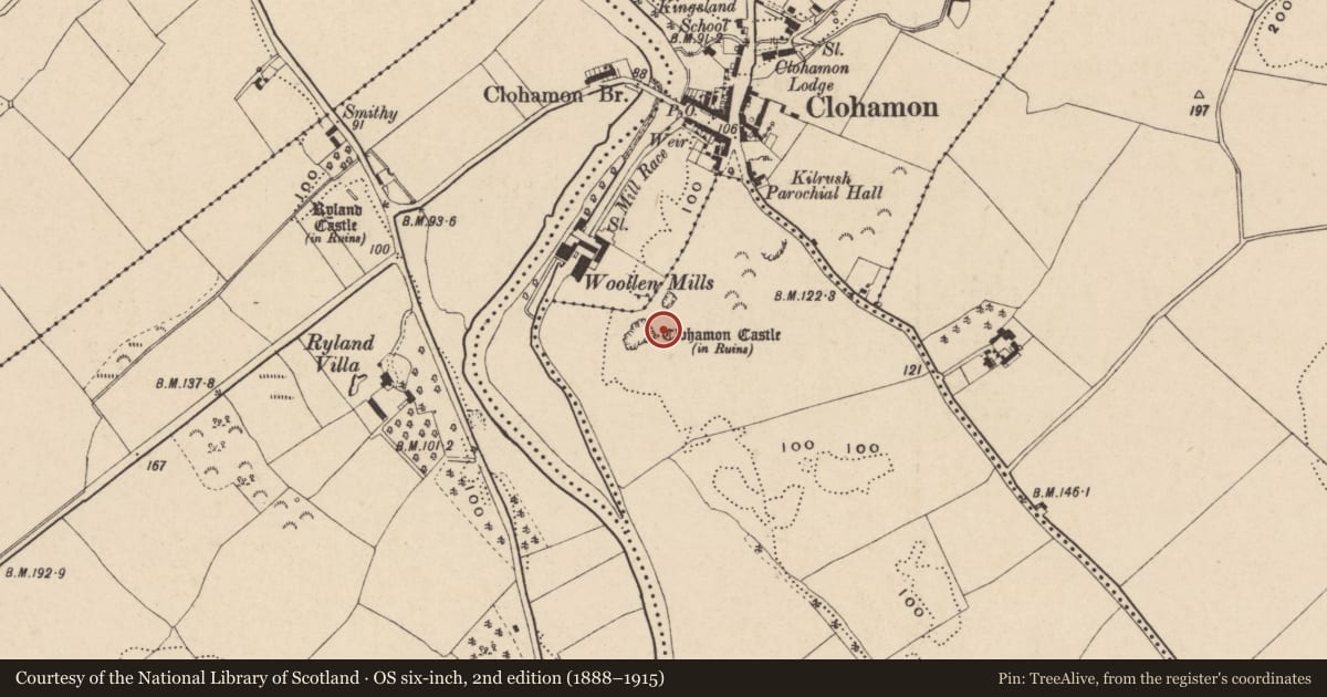 Ordnance Survey six-inch map, 2nd edition (1888–1915) covering the location of Castle - unclassified, Castlequarter, County Wexford, with a pin at the register's coordinates