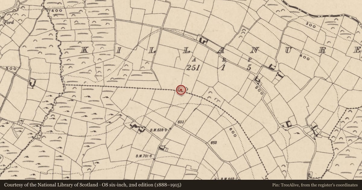 Ordnance Survey six-inch map, 2nd edition (1888–1915) covering the location of Cairn - unclassified, Killanure, Mandoran, County Wexford, with a pin at the register's coordinates