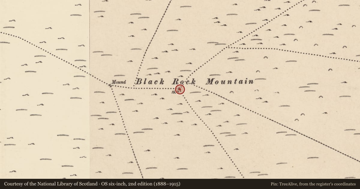 Ordnance Survey six-inch map, 2nd edition (1888–1915) covering the location of Cairn - unclassified, County Wexford, with a pin at the register's coordinates