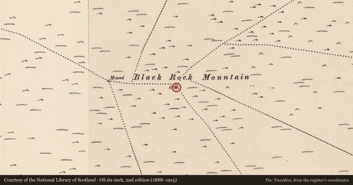 Ordnance Survey six-inch map, 2nd edition (1888–1915) covering the location of Cairn - unclassified, Boladurragh, County Wexford, with a pin at the register's coordinates