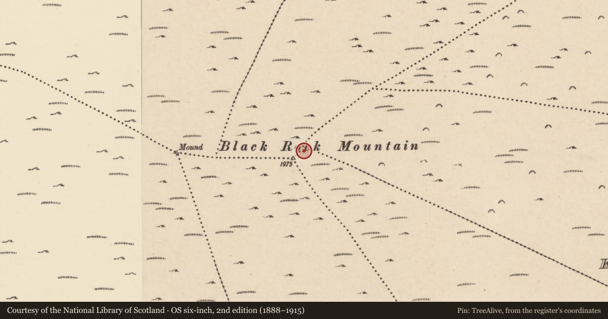 Ordnance Survey six-inch map, 2nd edition (1888–1915) covering the location of Cairn - unclassified, County Wexford, with a pin at the register's coordinates