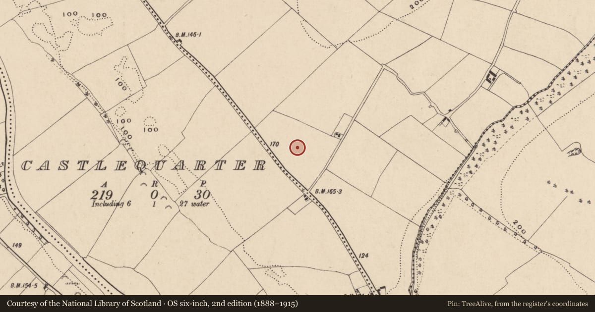 Ordnance Survey six-inch map, 2nd edition (1888–1915) covering the location of Enclosure, Knockanure, County Wexford, with a pin at the register's coordinates