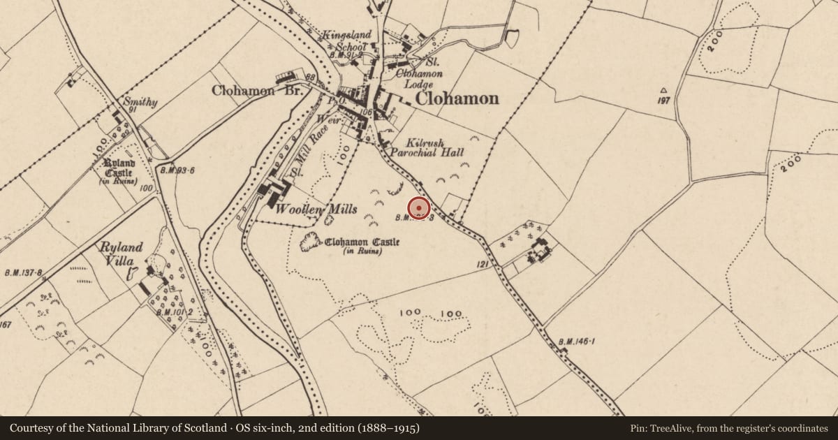 Ordnance Survey six-inch map, 2nd edition (1888–1915) covering the location of Excavation - miscellaneous, Castlequarter, County Wexford, with a pin at the register's coordinates
