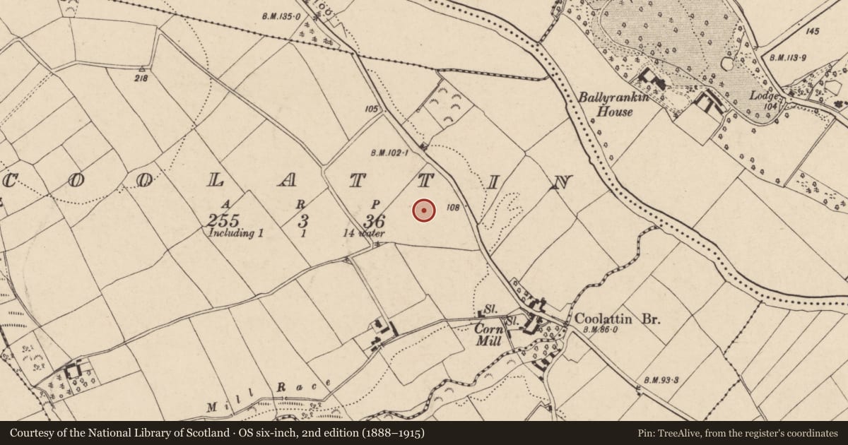 Ordnance Survey six-inch map, 2nd edition (1888–1915) covering the location of Ringfort - rath, Coolatin, County Wexford, with a pin at the register's coordinates