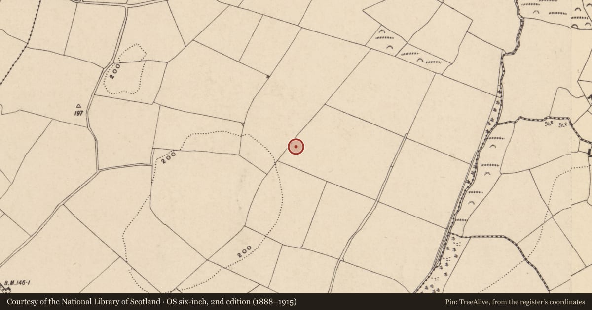 Ordnance Survey six-inch map, 2nd edition (1888–1915) covering the location of Enclosure, Knockanure, County Wexford, with a pin at the register's coordinates