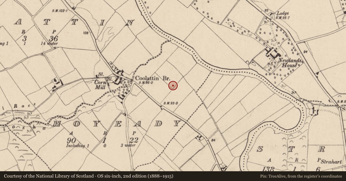 Ordnance Survey six-inch map, 2nd edition (1888–1915) covering the location of Road - road/trackway, Moyeady, County Wexford, with a pin at the register's coordinates