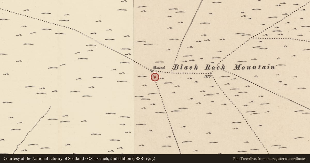 Ordnance Survey six-inch map, 2nd edition (1888–1915) covering the location of Structure, Ballycrystal, Boladurragh, County Wexford, with a pin at the register's coordinates