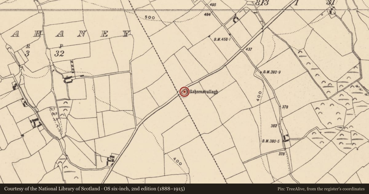 Ordnance Survey six-inch map, 2nd edition (1888–1915) covering the location of Ringfort - rath, Kiltilly, County Wexford, with a pin at the register's coordinates