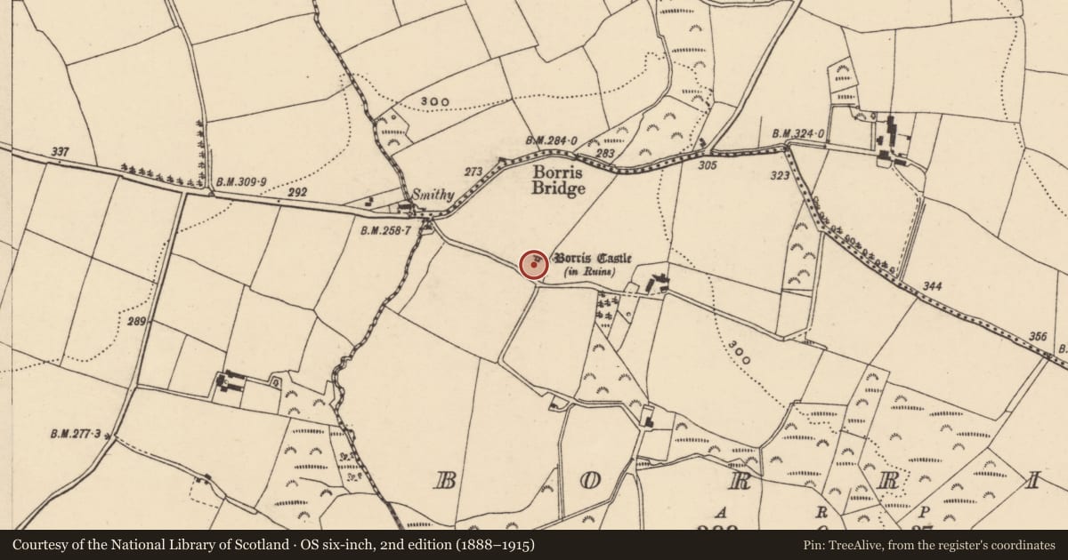 Ordnance Survey six-inch map, 2nd edition (1888–1915) covering the location of Moated site, Borris, County Wexford, with a pin at the register's coordinates