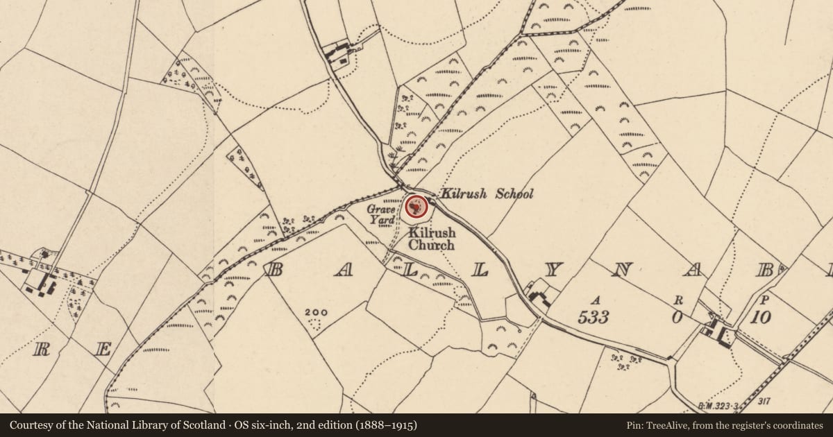 Ordnance Survey six-inch map, 2nd edition (1888–1915) covering the location of Church, Ballynaberny, County Wexford, with a pin at the register's coordinates