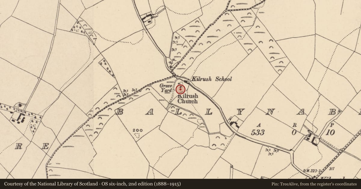 Ordnance Survey six-inch map, 2nd edition (1888–1915) covering the location of Graveyard, Ballynaberny, County Wexford, with a pin at the register's coordinates