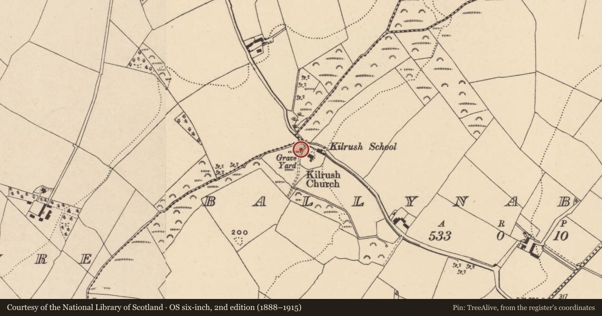 Ordnance Survey six-inch map, 2nd edition (1888–1915) covering the location of Bullaun stone, Ballynaberny, County Wexford, with a pin at the register's coordinates