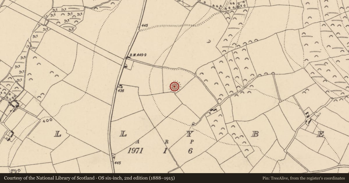 Ordnance Survey six-inch map, 2nd edition (1888–1915) covering the location of Ringfort - rath, Ballybeg, County Wexford, with a pin at the register's coordinates