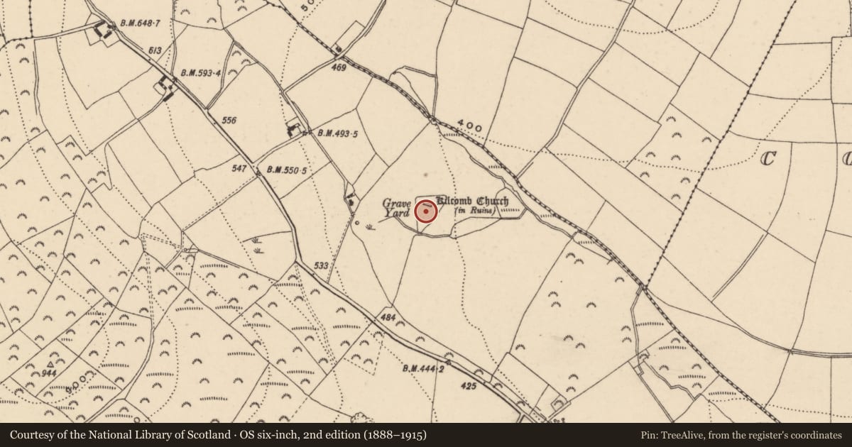 Ordnance Survey six-inch map, 2nd edition (1888–1915) covering the location of Graveyard, Ballyduff, County Wexford, with a pin at the register's coordinates
