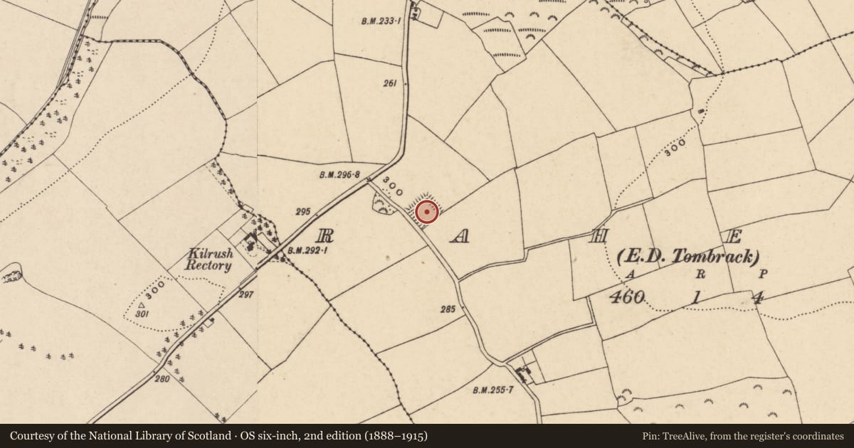 Ordnance Survey six-inch map, 2nd edition (1888–1915) covering the location of Moated site, Raheen, County Wexford, with a pin at the register's coordinates