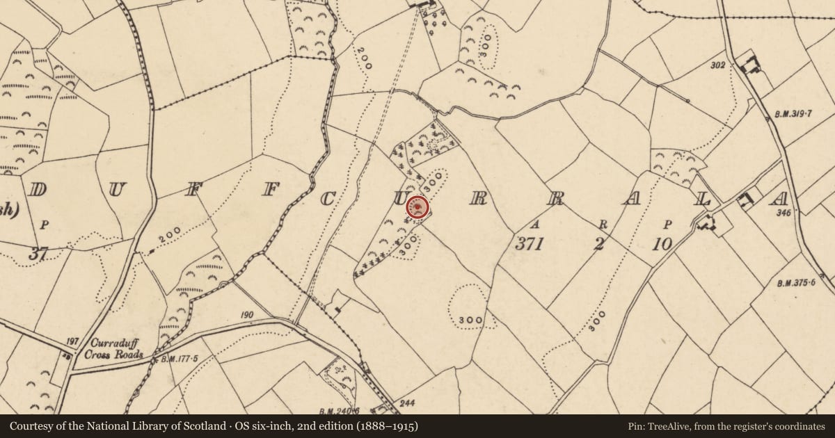 Ordnance Survey six-inch map, 2nd edition (1888–1915) covering the location of Castle - motte, Curralane, County Wexford, with a pin at the register's coordinates