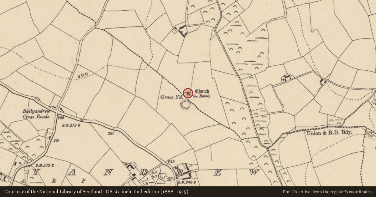 Ordnance Survey six-inch map, 2nd edition (1888–1915) covering the location of Church, Boolnadrum, County Wexford, with a pin at the register's coordinates