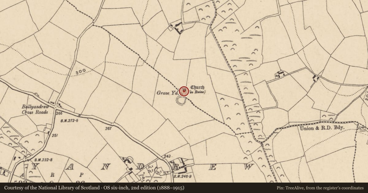 Ordnance Survey six-inch map, 2nd edition (1888–1915) covering the location of Graveyard, Ballyandrew, Boolnadrum, County Wexford, with a pin at the register's coordinates
