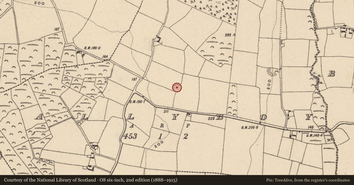 Ordnance Survey six-inch map, 2nd edition (1888–1915) covering the location of Ringfort - rath, Ballyboy, County Wexford, with a pin at the register's coordinates