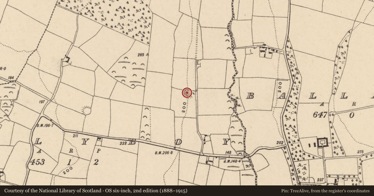 Ordnance Survey six-inch map, 2nd edition (1888–1915) covering the location of Ringfort - rath, Ballyboy, County Wexford, with a pin at the register's coordinates