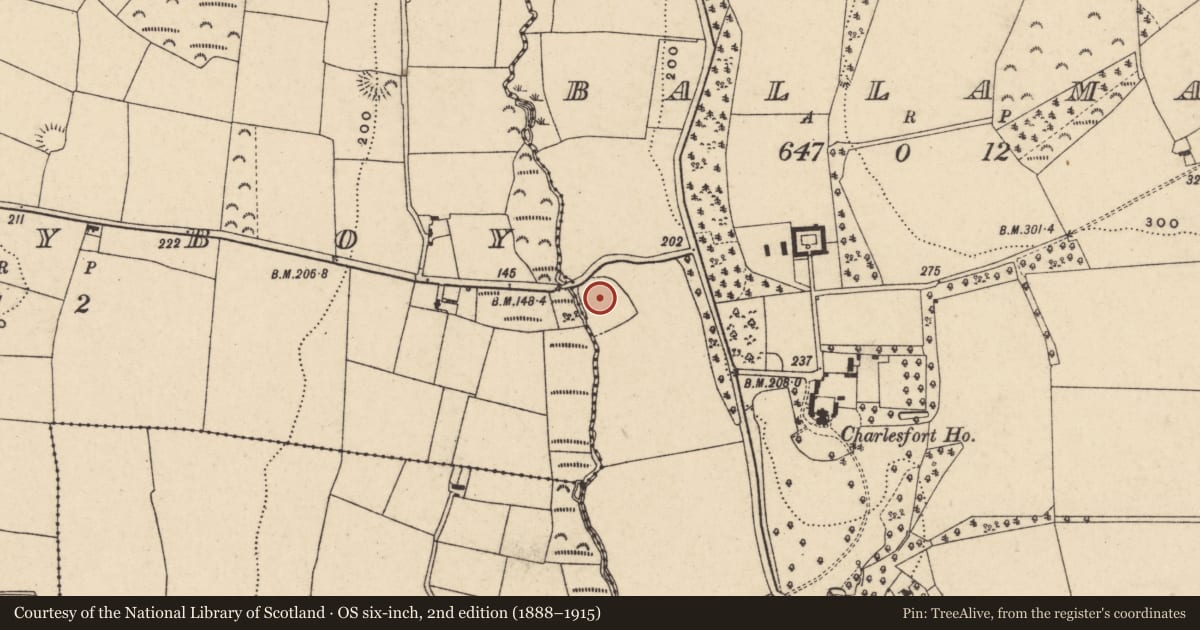 Ordnance Survey six-inch map, 2nd edition (1888–1915) covering the location of Ringfort - rath, Ballaman, County Wexford, with a pin at the register's coordinates