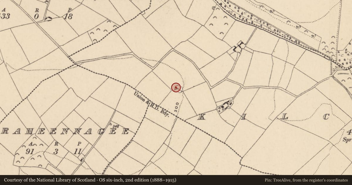 Ordnance Survey six-inch map, 2nd edition (1888–1915) covering the location of Ringfort - rath, Kilcloran, County Wexford, with a pin at the register's coordinates