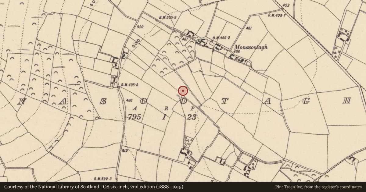 Ordnance Survey six-inch map, 2nd edition (1888–1915) covering the location of House - 17th century, Monasootagh, County Wexford, with a pin at the register's coordinates