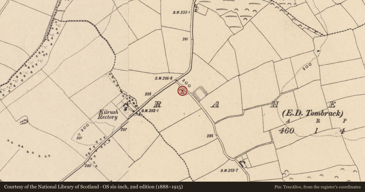 Ordnance Survey six-inch map, 2nd edition (1888–1915) covering the location of Ringfort - rath, Raheen, County Wexford, with a pin at the register's coordinates