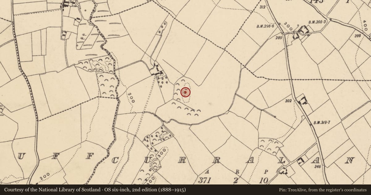 Ordnance Survey six-inch map, 2nd edition (1888–1915) covering the location of Ringfort - rath, Curralane, County Wexford, with a pin at the register's coordinates